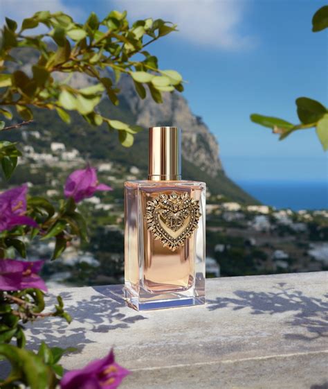 dolce and gabbana perfume authenticity check|dolce and gabbana perfume website.